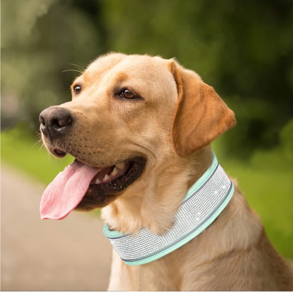 Bling rhinestones dog collar - Picture 7 of 8